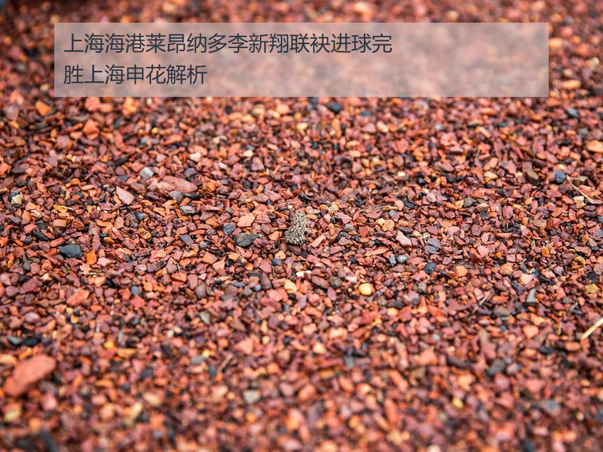 上海海港莱昂纳多李新翔联袂进球完胜上海申花解析